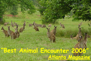 Kangaroo Conservation Center::Kangaroo Conservation Center
