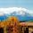Super 8 Motel - Fountain::Travelocity.com