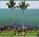 Royal Mauian Resort from Royalmauianresort.com