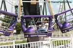 Dixie Landing::ThemeParksOnline