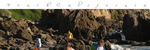 Rocky Point::D.Stock