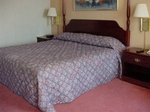 Tn-171395_room_01_e