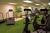 Best Western Coral Bridge Inn and Suites::ProfessionalTravelGuide.com
