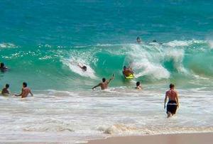 Web-sandys20704