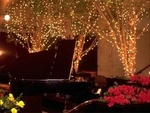 Hyatt Regency Woodfield