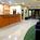 SpringHill Suites by Marriott St. Petersburg/Clearwater::Travelocity.com
