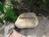 Canyon Ranch::TripAdvisor
