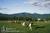 Mountain Top Inn & Resort::BedAndBreakfast.com