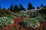 Stanley Park
