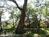 Creekhaven Inn::BedAndBreakfast.com
