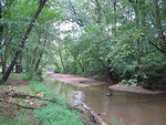 Tn-568622092_246ce3c483_m