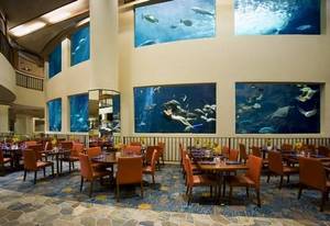 Pacific Beach Hotel::Travelocity.com