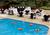 Residence Inn by Marriott Plainview Long Island::Orbitz