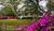 Magnolia Springs Bed & Breakfast::BedAndBreakfast.com