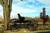 Best Western Frontier Motel::Orbitz