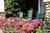 Lagoalinda Inn, LLC::BedAndBreakfast.com