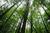 Mohawk Trail State Forest::ReserveAmerica.com