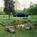 Old Drovers Inn::BedAndBreakfast.com