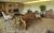 Gallery & Galley Bed & Breakfast::BedAndBreakfast.com