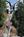 Cape Fox Lodge::Travelocity.com