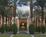 Hyatt Grand Champions Resort::Priceline.com