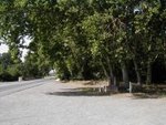 Tn-345-roadside_s