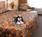 Best Western Ramkota Hotel::ProfessionalTravelGuide.com
