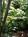 Fern Cottage B&B::BedAndBreakfast.com
