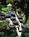 Sportsmen's Lodge::Expedia