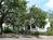 Sully Mansion Bed & Breakfast::TripAdvisor