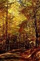 Pipestem Resort State Park