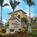 Residence Inn Fort Lauderdale Miramar::Travelocity.com