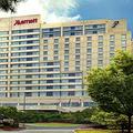 Tn-phl_mara-exter-3