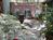 The Magnolia Plantation Bed and Breakfast Inn::BedAndBreakfast.com