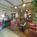 Krystal Aire Inn and Suites::Expedia