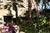 Four Seasons Hotel Houston::ZoomAndGo