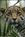 Happy Hollow Park and Zoo from Heather Vrzal