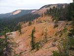 Dixie National Forest Cedar City District