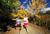 Best Western Chieftain Inn::Expedia