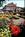 Holiday Inn Roanoke Valley View::Priceline.com