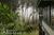 Waianuhea::BedAndBreakfast.com