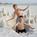 Tropical Shores Beach Resort - Siesta Key from Orbitz