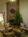 Safari Inn::ProfessionalTravelGuide.com