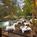 L'Auberge de Sedona::Hotels.com