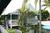 Eden House::BedAndBreakfast.com