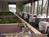 Holiday Inn Tanglewood::Travelocity.com