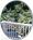 Mira Monte Inn and Suites::BedAndBreakfast.com