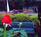 Best Western Greenville Airport Inn::ProfessionalTravelGuide.com