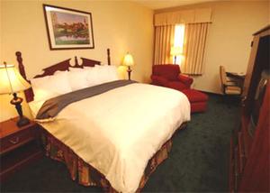 Web-sbn_jame-rooms-1