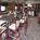 Embassy Suites Hotel Portland-Washington Square::Expedia